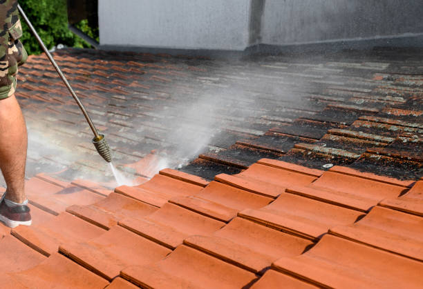 Best Garage Pressure Washing  in Morrison, IL
