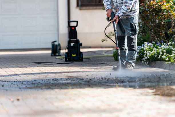 Best Residential Pressure Washing Services  in Morrison, IL