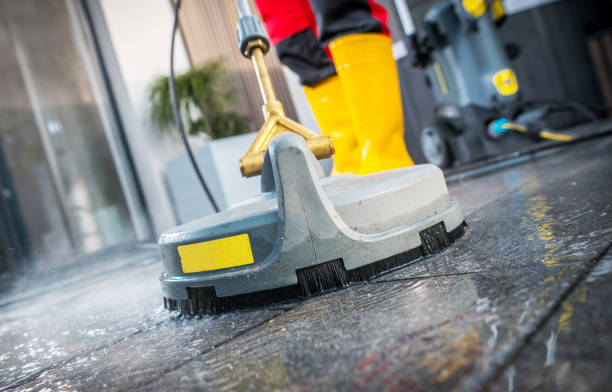 Best House Pressure Washing  in Morrison, IL